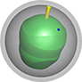 ball core image